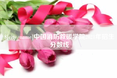 莱州中国消防救援学院2021年招生分数线