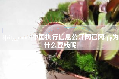 莱州中国执行信息公开网官网app为什么要钱呢