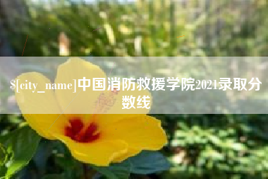 莱州中国消防救援学院2021录取分数线