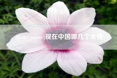 莱州现在中国哪几个金牌