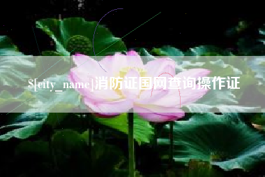 莱州消防证国网查询操作证