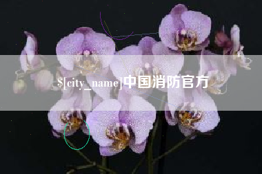 莱州中国消防官方