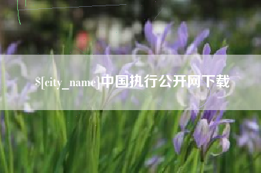 莱州中国执行公开网下载