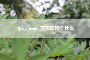 莱州王子豪是个什么