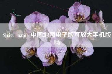 莱州中国地图电子版可放大手机版吗