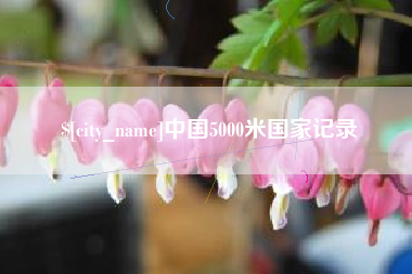 莱州中国5000米国家记录