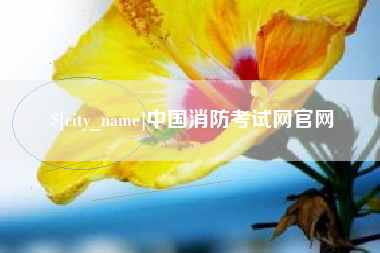莱州中国消防考试网官网