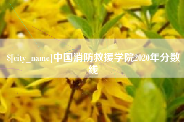 莱州中国消防救援学院2020年分数线
