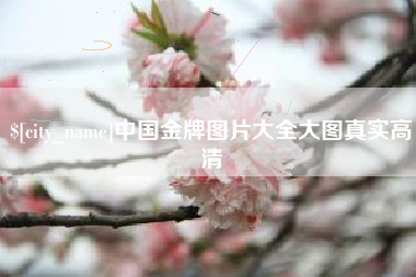 莱州中国金牌图片大全大图真实高清