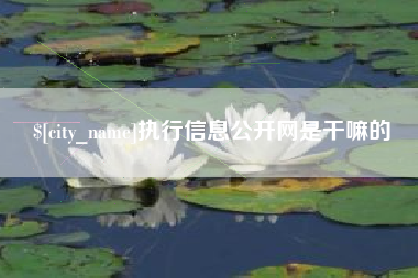 莱州执行信息公开网是干嘛的