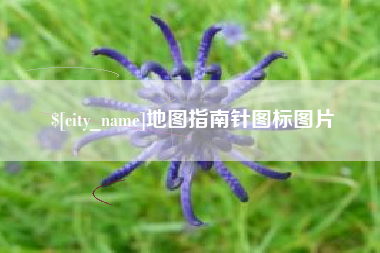 莱州地图指南针图标图片