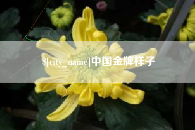 莱州中国金牌样子