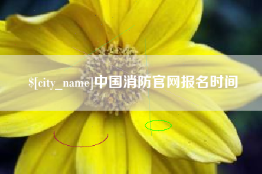 莱州中国消防官网报名时间