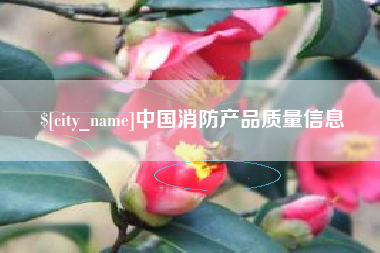 莱州中国消防产品质量信息