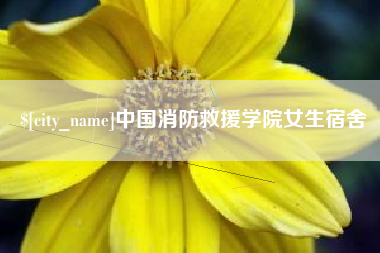 莱州中国消防救援学院女生宿舍