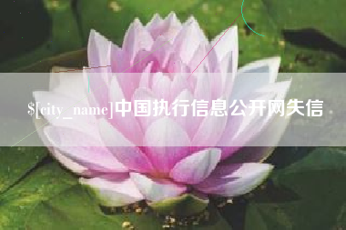 莱州中国执行信息公开网失信
