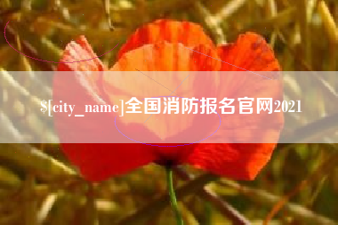 莱州全国消防报名官网2021