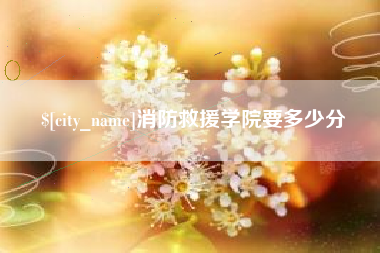 莱州消防救援学院要多少分