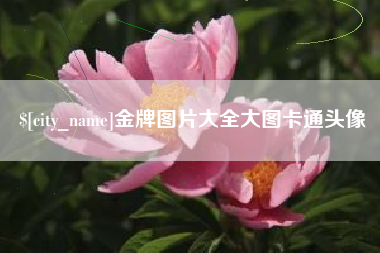 莱州金牌图片大全大图卡通头像