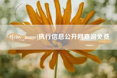 莱州执行信息公开网查询免费