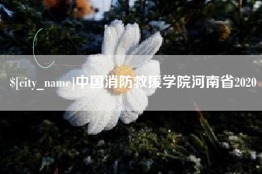 莱州中国消防救援学院河南省2020